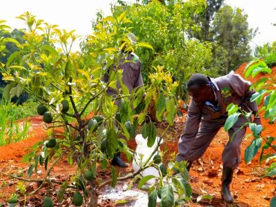 Farm Premium Services