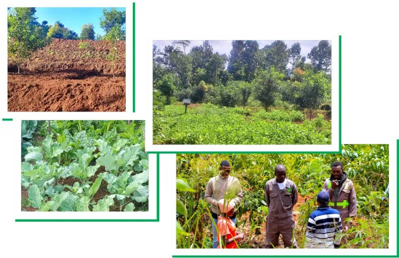 Sustainability at ICF