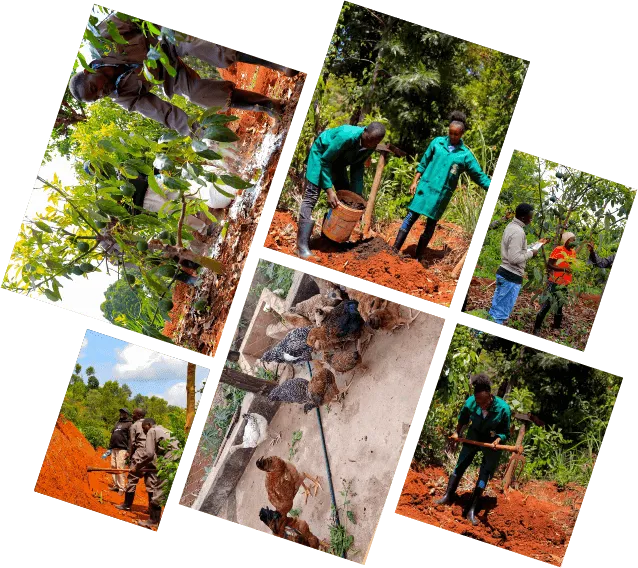 Farm Management Training